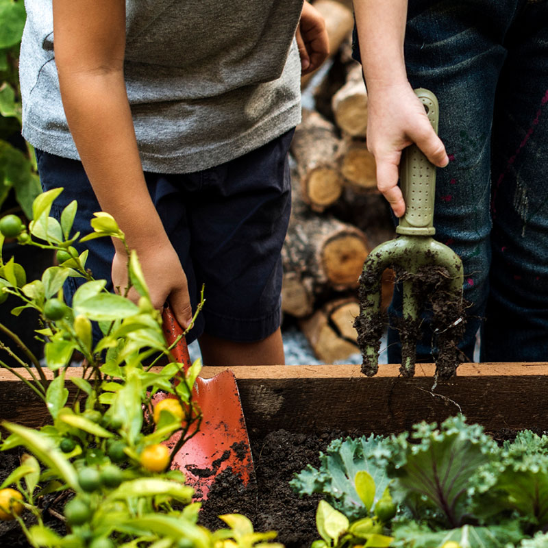 gardening